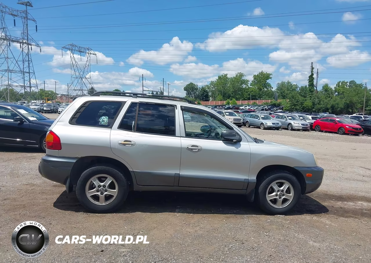 2004 Hyundai Santa Fe Gls VIN:KM8SC13D64U705206 - 13