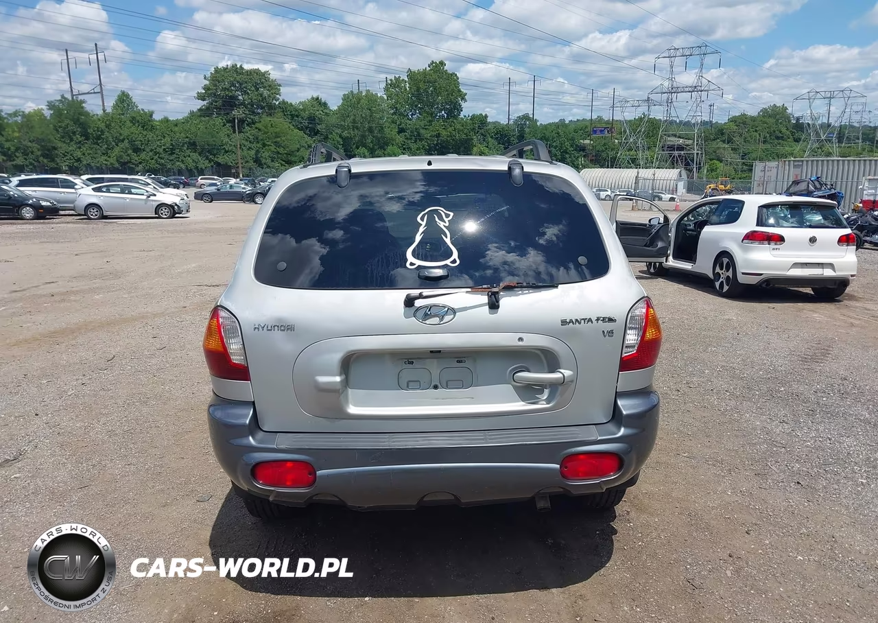 2004 Hyundai Santa Fe Gls VIN:KM8SC13D64U705206 - 16