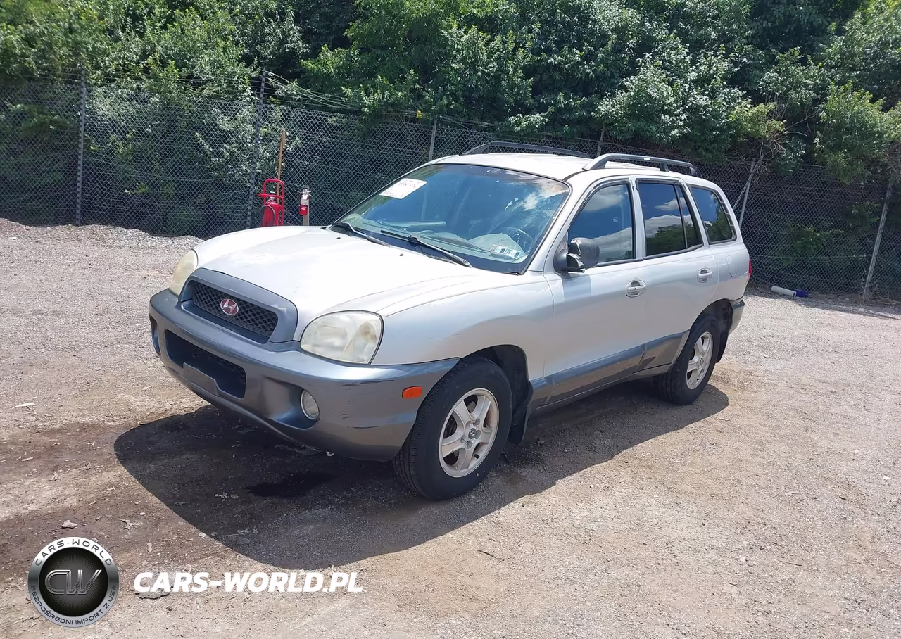 2004 Hyundai Santa Fe Gls VIN:KM8SC13D64U705206 - 2