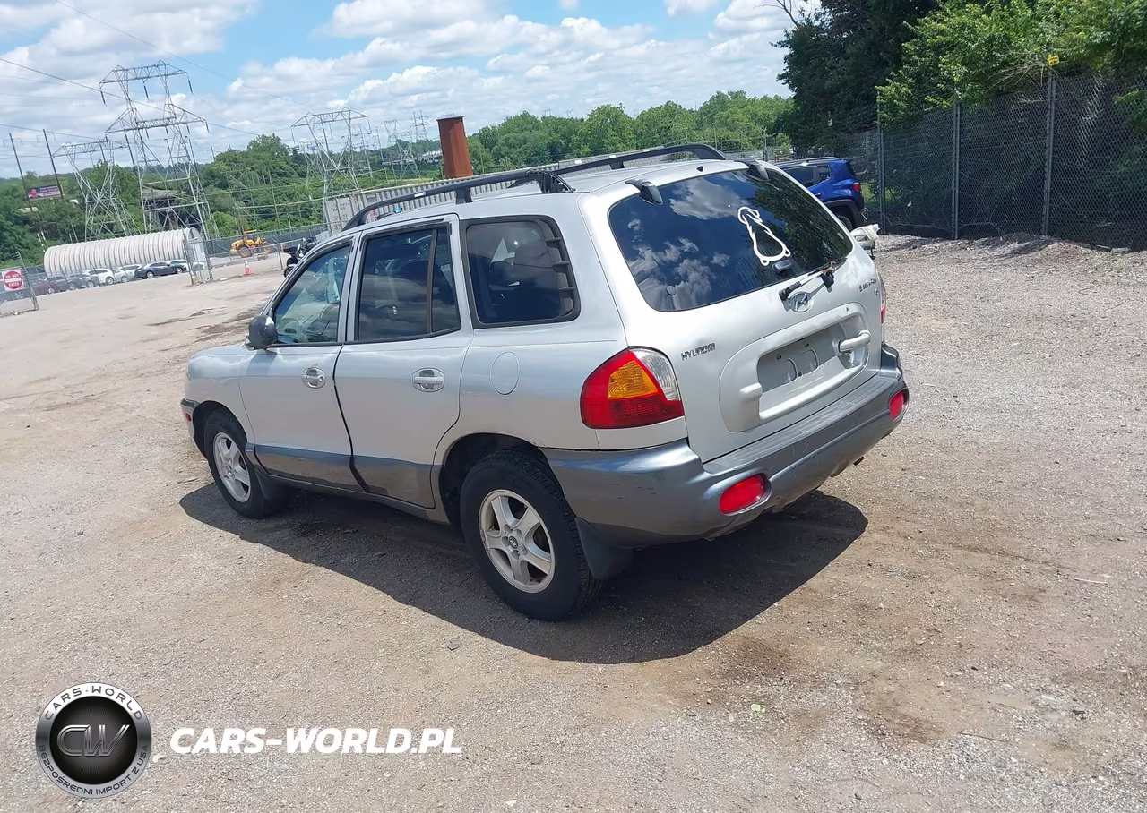 2004 Hyundai Santa Fe Gls VIN:KM8SC13D64U705206 - 3