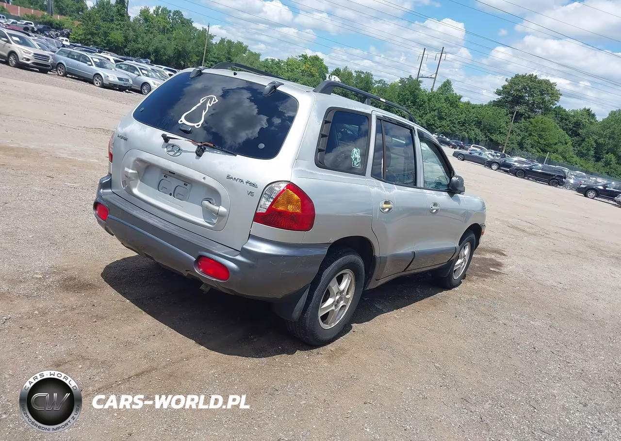 2004 Hyundai Santa Fe Gls VIN:KM8SC13D64U705206 - 4