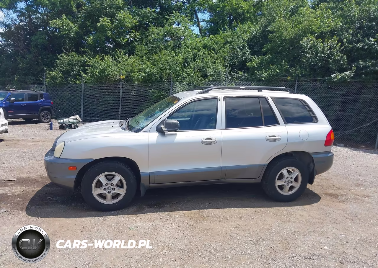2004 Hyundai Santa Fe Gls VIN:KM8SC13D64U705206 - 6