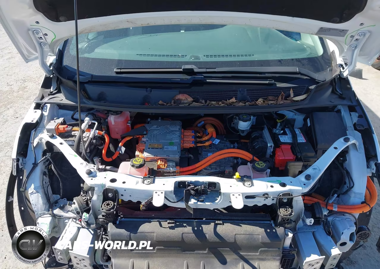 2019 Chevrolet Bolt Ev Lt VIN:1G1FY6S0XK4135297 - 10