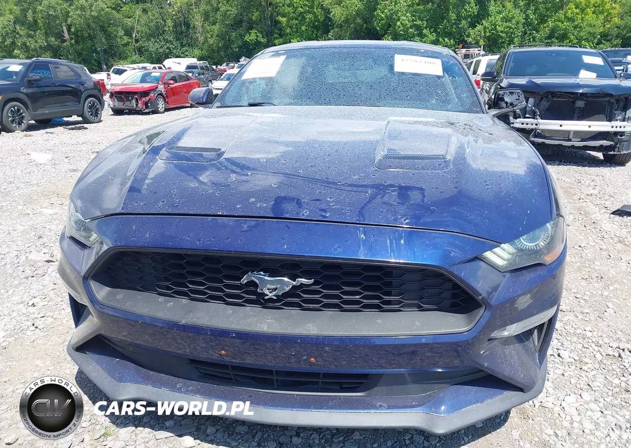 2018 Ford Mustang Ecoboost VIN:1FA6P8THXJ5161486 - 13