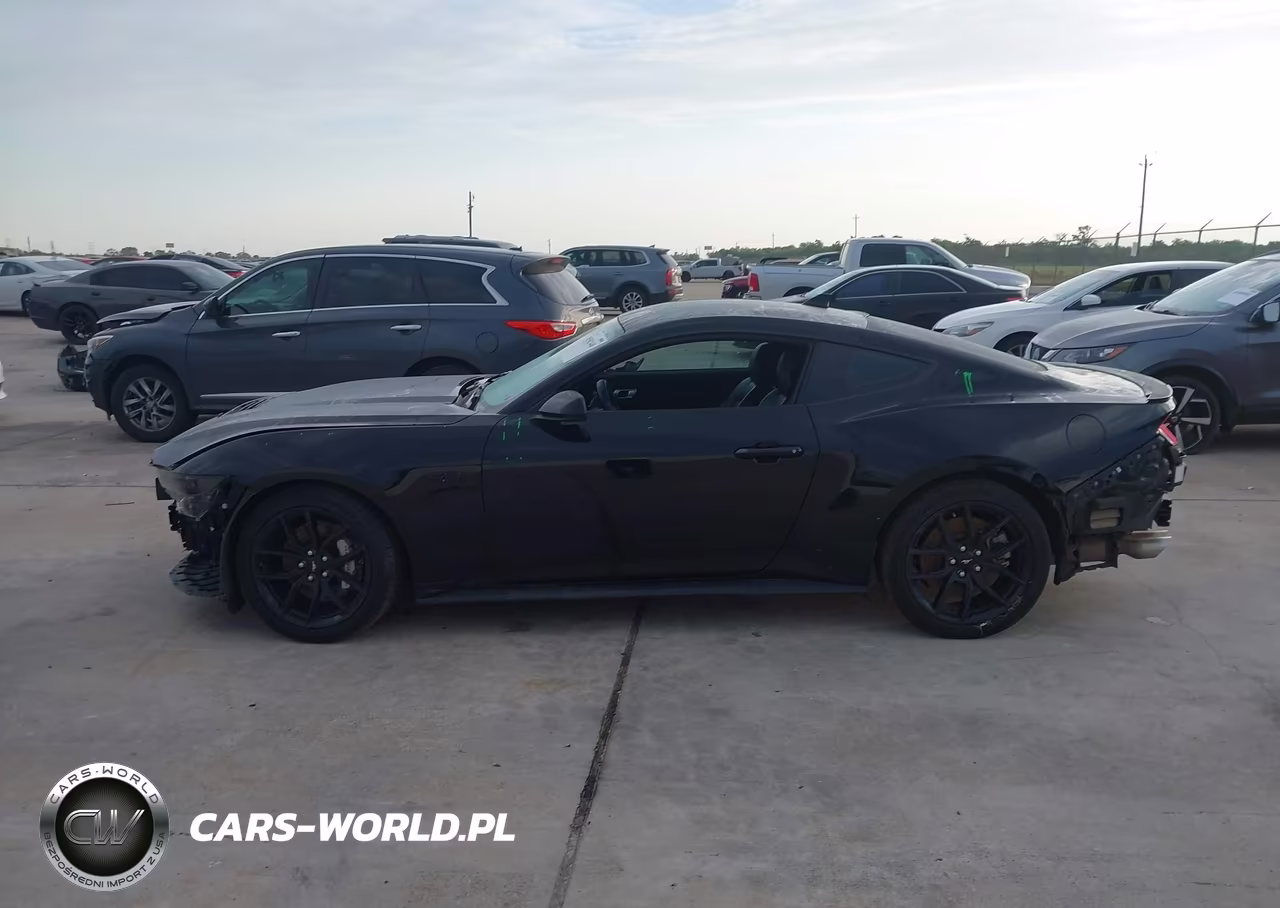 2024 Ford Mustang Gt Premium Fastback VIN:1FA6P8CF6R5418525 - 14