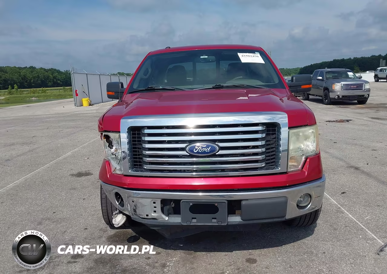 2010 Ford F-150 Fx2 Sport-Stx-Xl-Xlt VIN:1FTEX1C82AFD02915 - 12