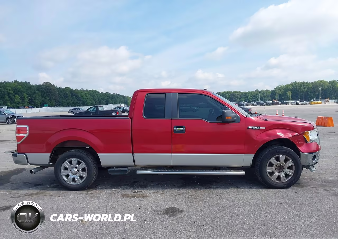 2010 Ford F-150 Fx2 Sport-Stx-Xl-Xlt VIN:1FTEX1C82AFD02915 - 13