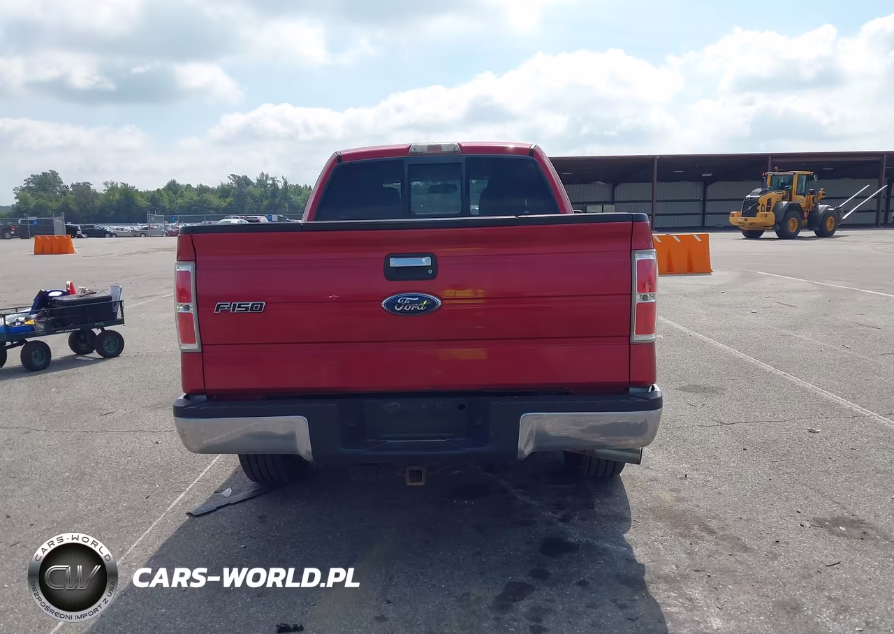 2010 Ford F-150 Fx2 Sport-Stx-Xl-Xlt VIN:1FTEX1C82AFD02915 - 16