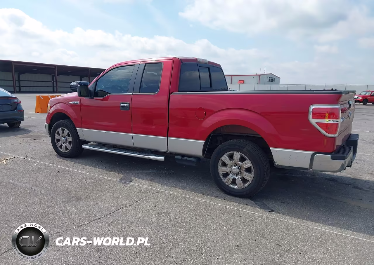 2010 Ford F-150 Fx2 Sport-Stx-Xl-Xlt VIN:1FTEX1C82AFD02915 - 3