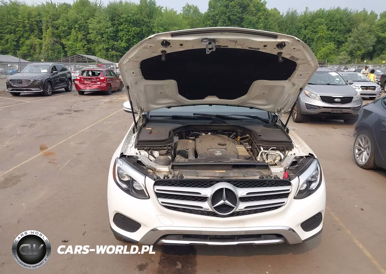 2016 Mercedes-Benz Glc 300 4Matic VIN:WDC0G4KB6GF060061 - 10