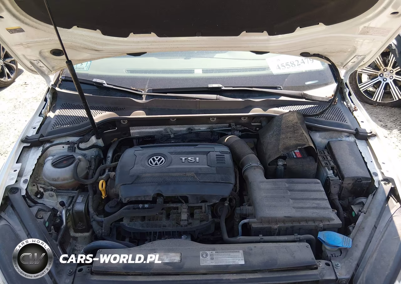2016 Volkswagen Golf Gti S 2-Door VIN:3VWYT7AU2GM033817 - 10