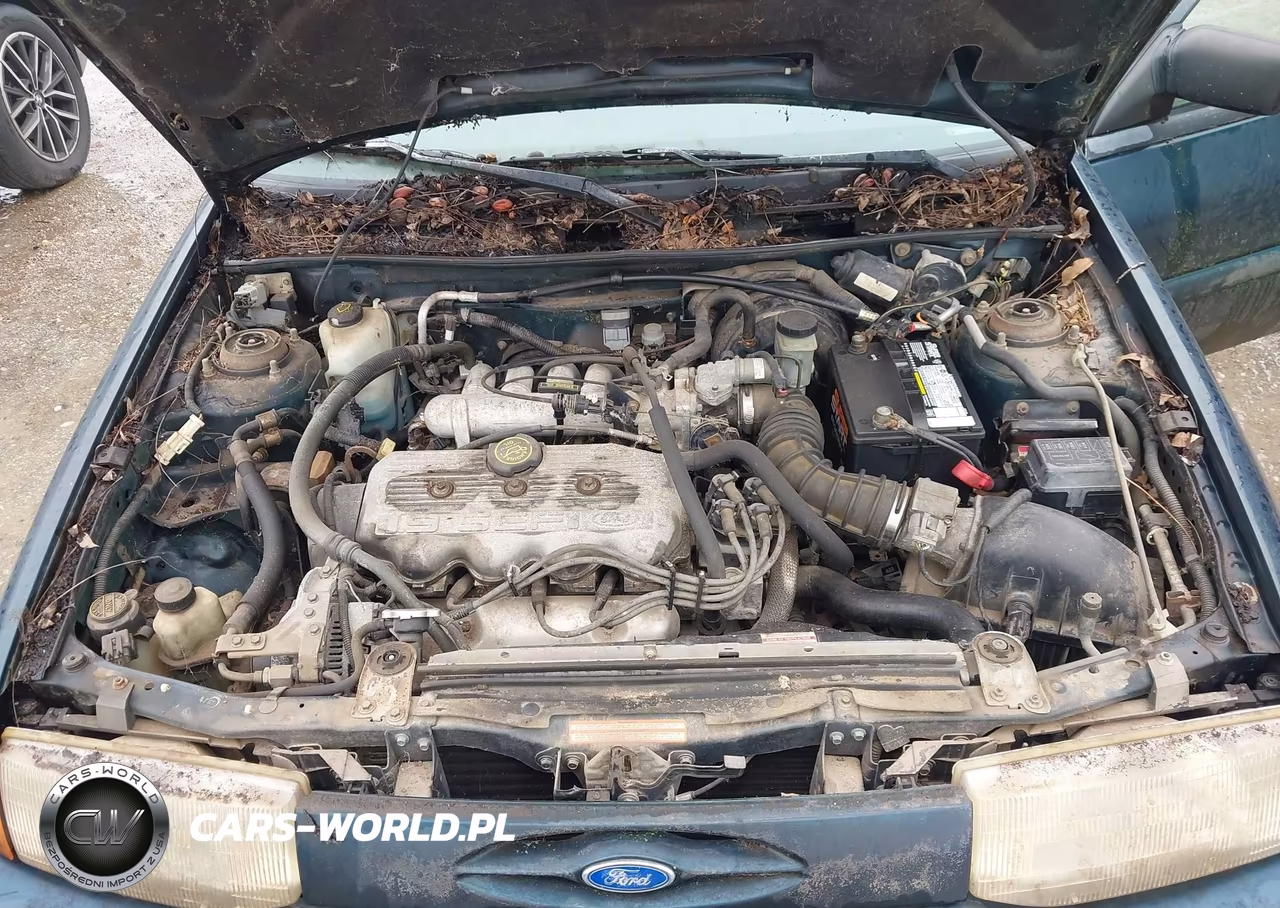 1995 Ford Escort Lx-Sport VIN:1FASP15JXSW297974 - 10
