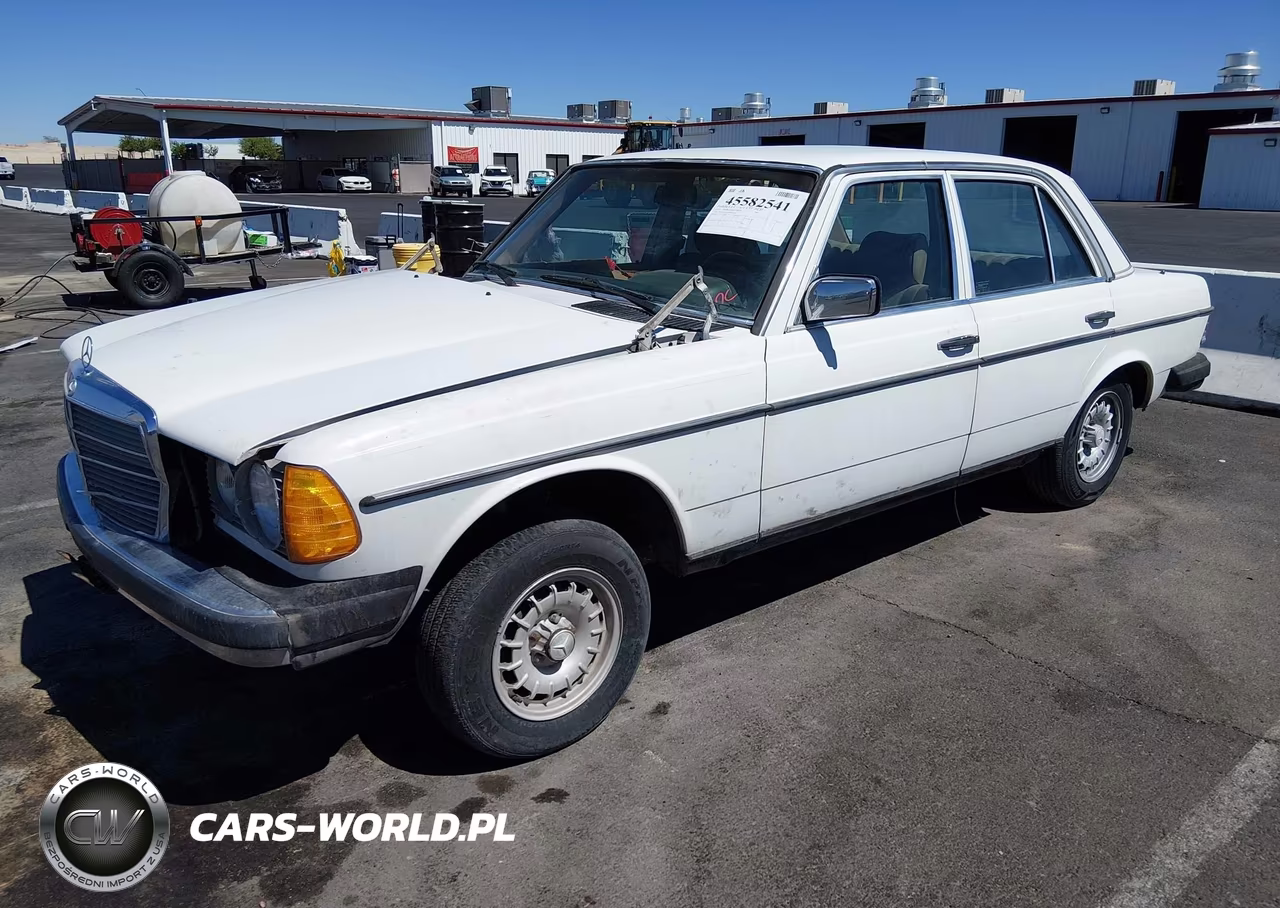 1983 Mercedes-Benz 300 Dt VIN:WDBAB33A6DB025837 - 2