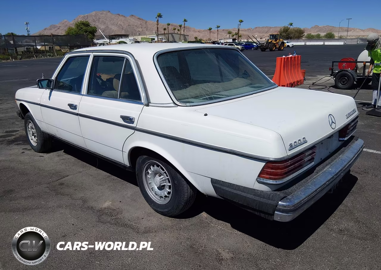 1983 Mercedes-Benz 300 Dt VIN:WDBAB33A6DB025837 - 3