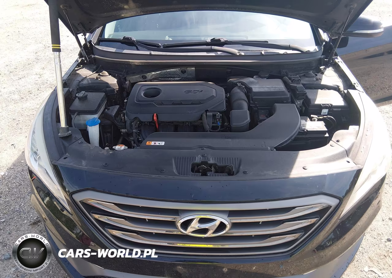 2016 Hyundai Sonata Sport VIN:5NPE34AF9GH411322 - 10