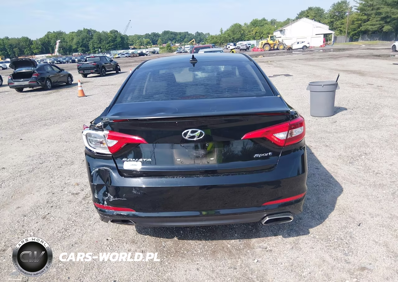 2016 Hyundai Sonata Sport VIN:5NPE34AF9GH411322 - 16