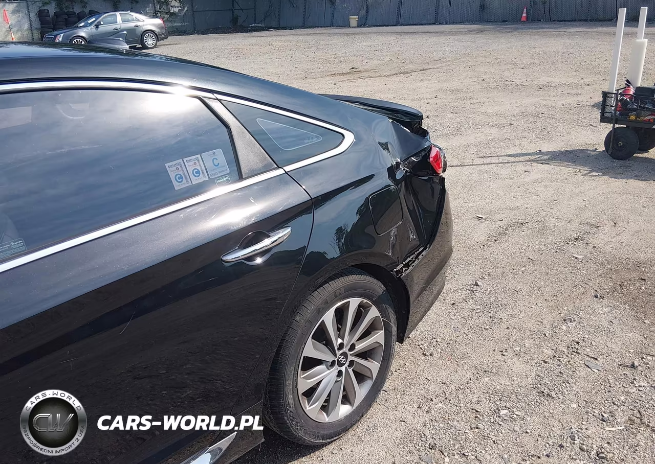 2016 Hyundai Sonata Sport VIN:5NPE34AF9GH411322 - 18