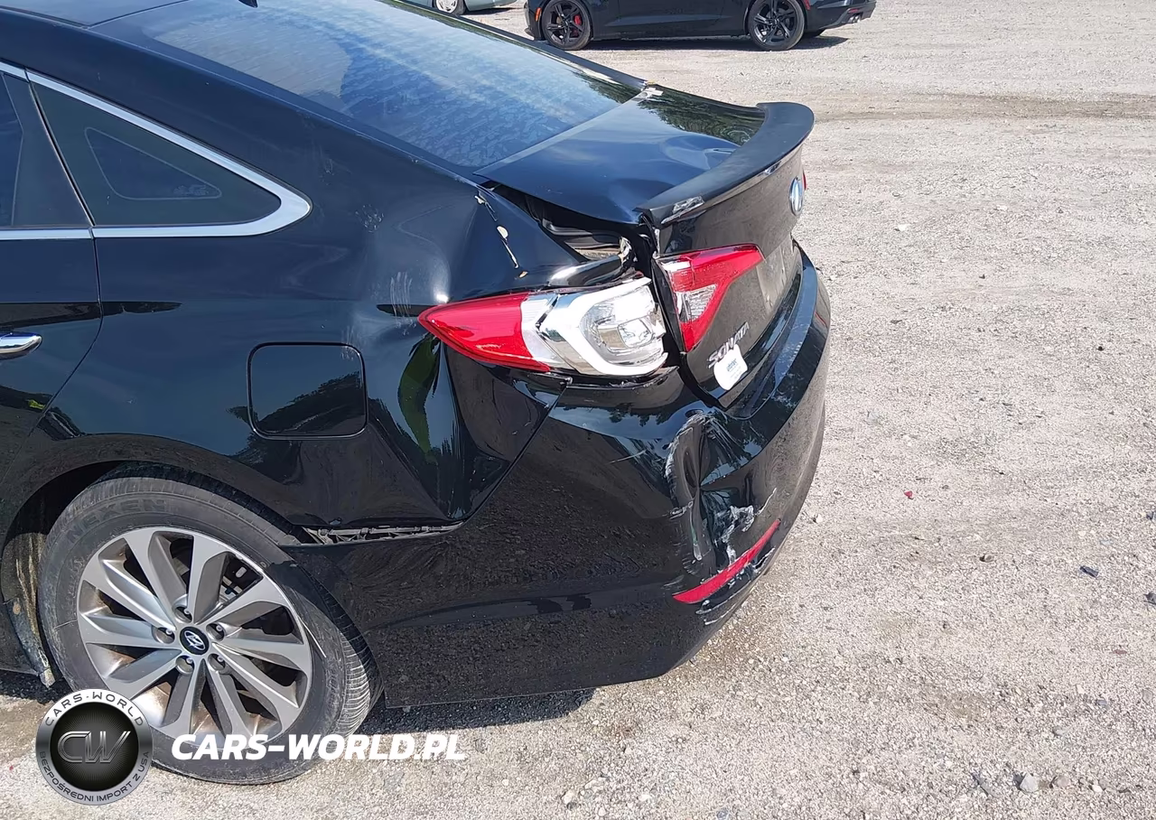 2016 Hyundai Sonata Sport VIN:5NPE34AF9GH411322 - 6
