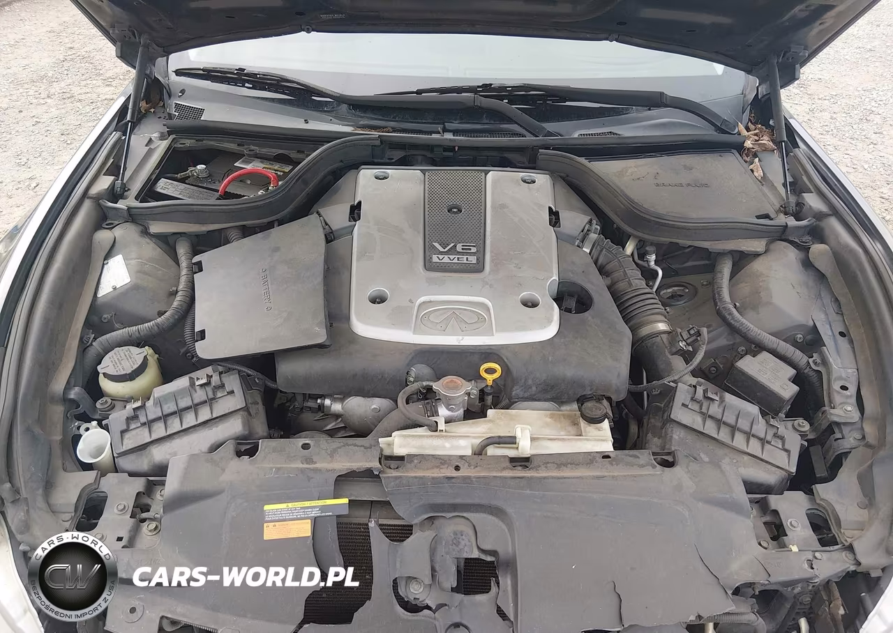 2009 Infiniti G37 Journey VIN:JNKCV64E89M602091 - 10