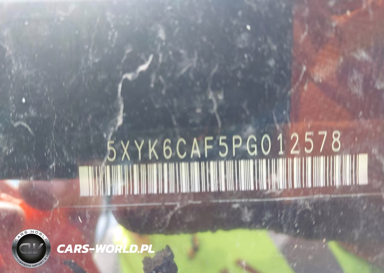 2023 Kia Sportage X-Line VIN:5XYK6CAF5PG012578 - 12
