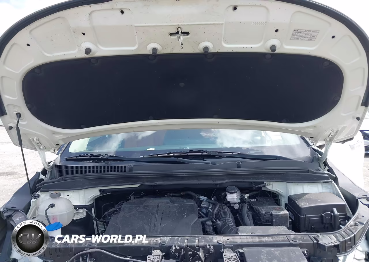 2024 Kia Carnival Mpv Sx Prestige VIN:KNDNE5H36R6338399 - 10