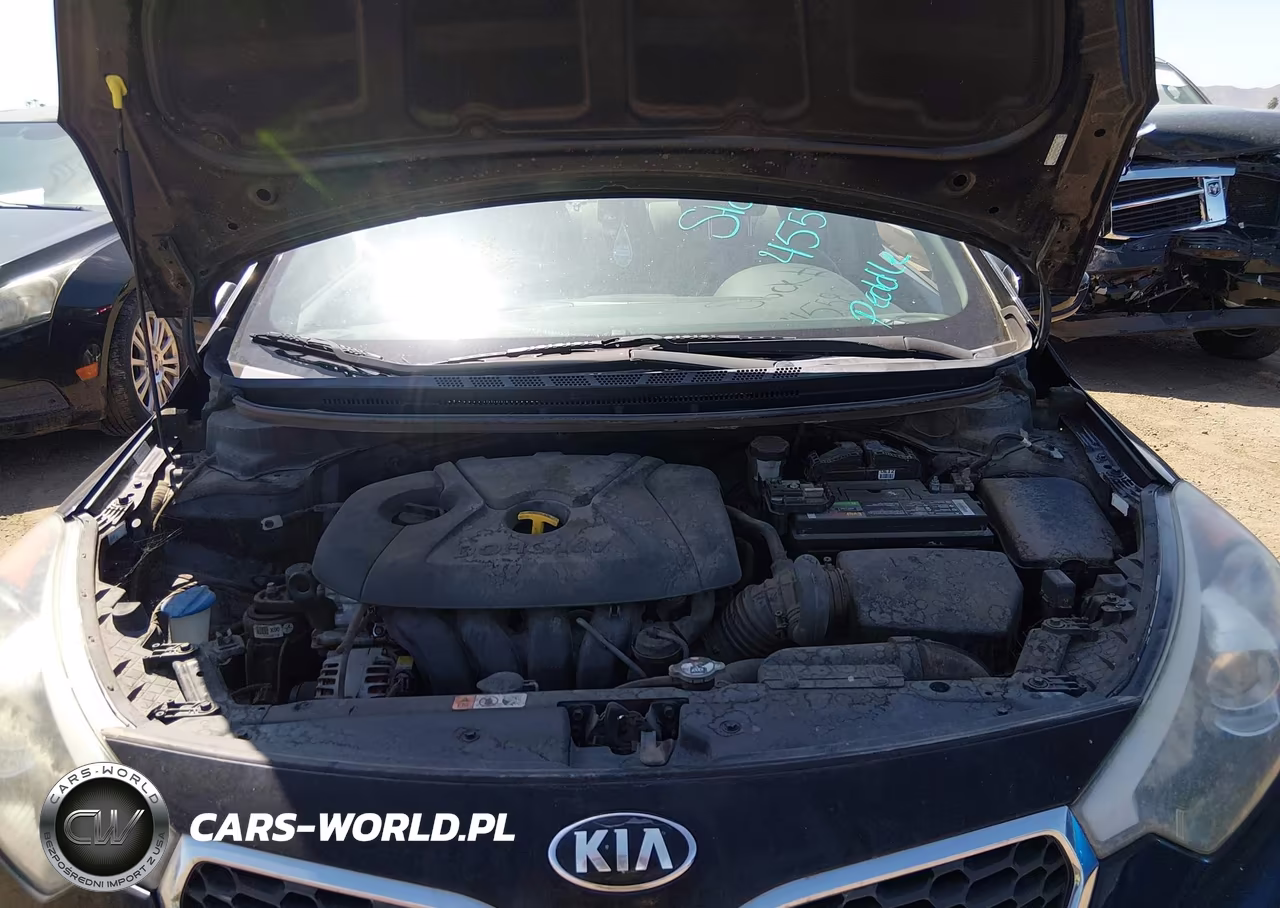 2016 Kia Forte Lx VIN:KNAFK4A66G5525783 - 10