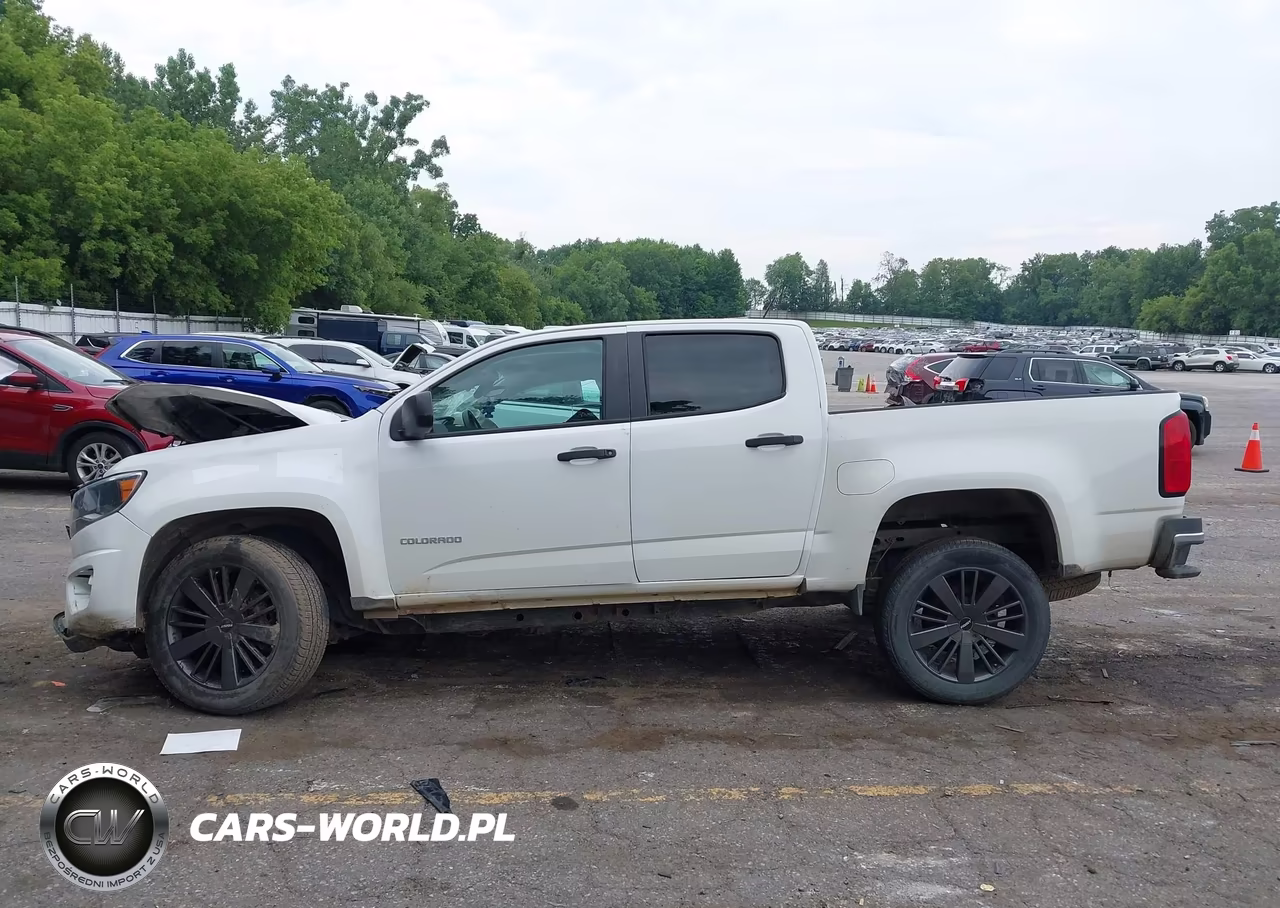 2016 Chevrolet Colorado 4Wd Wt VIN:1GCGTBE33G1201383 - 14