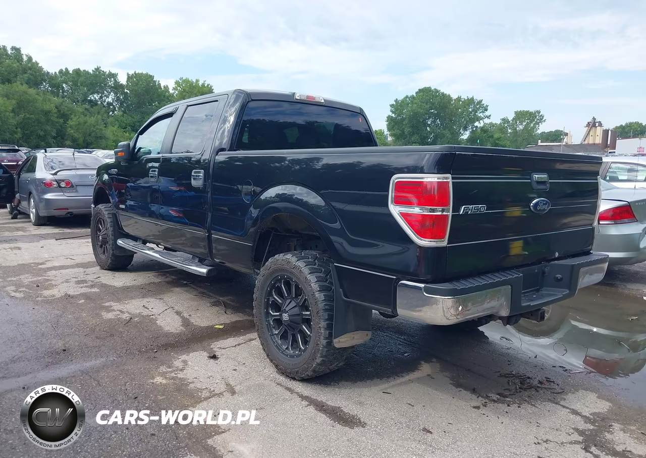 2014 Ford F-150 Fx4-King Ranch-Lariat-Limited-Platinum-Xl-Xlt VIN:1FTFW1ET9EKD06482 - 3