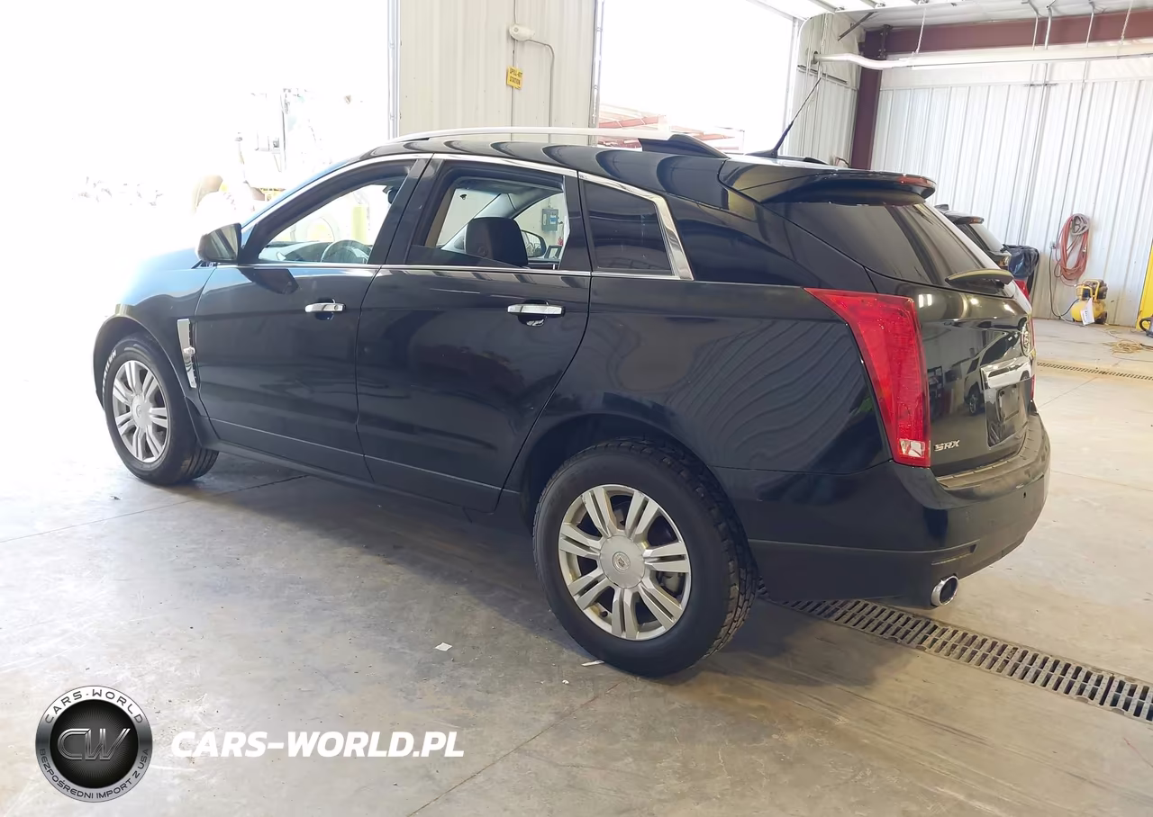 2010 Cadillac Srx Luxury Collection VIN:3GYFNAEY2AS506255 - 3