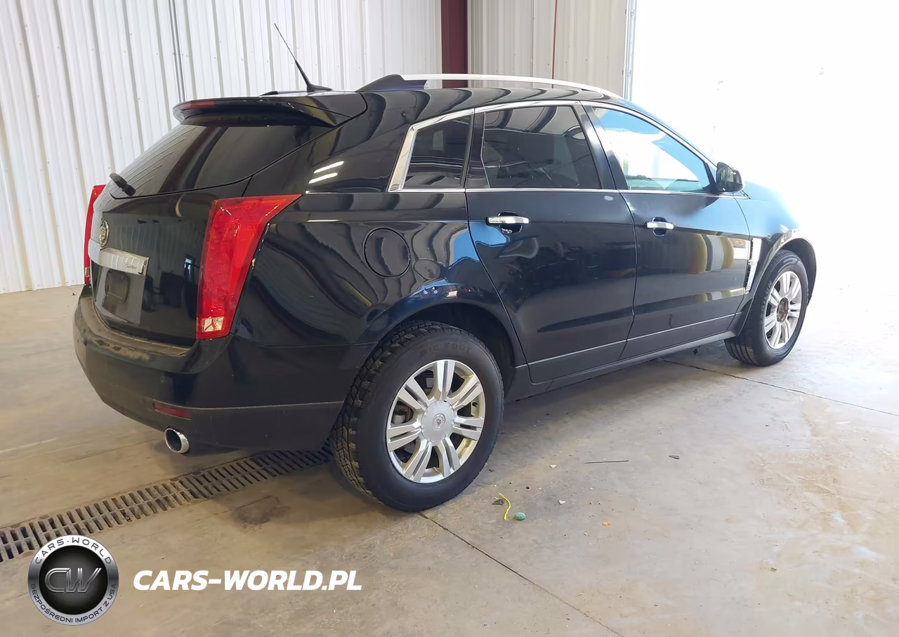 2010 Cadillac Srx Luxury Collection VIN:3GYFNAEY2AS506255 - 4