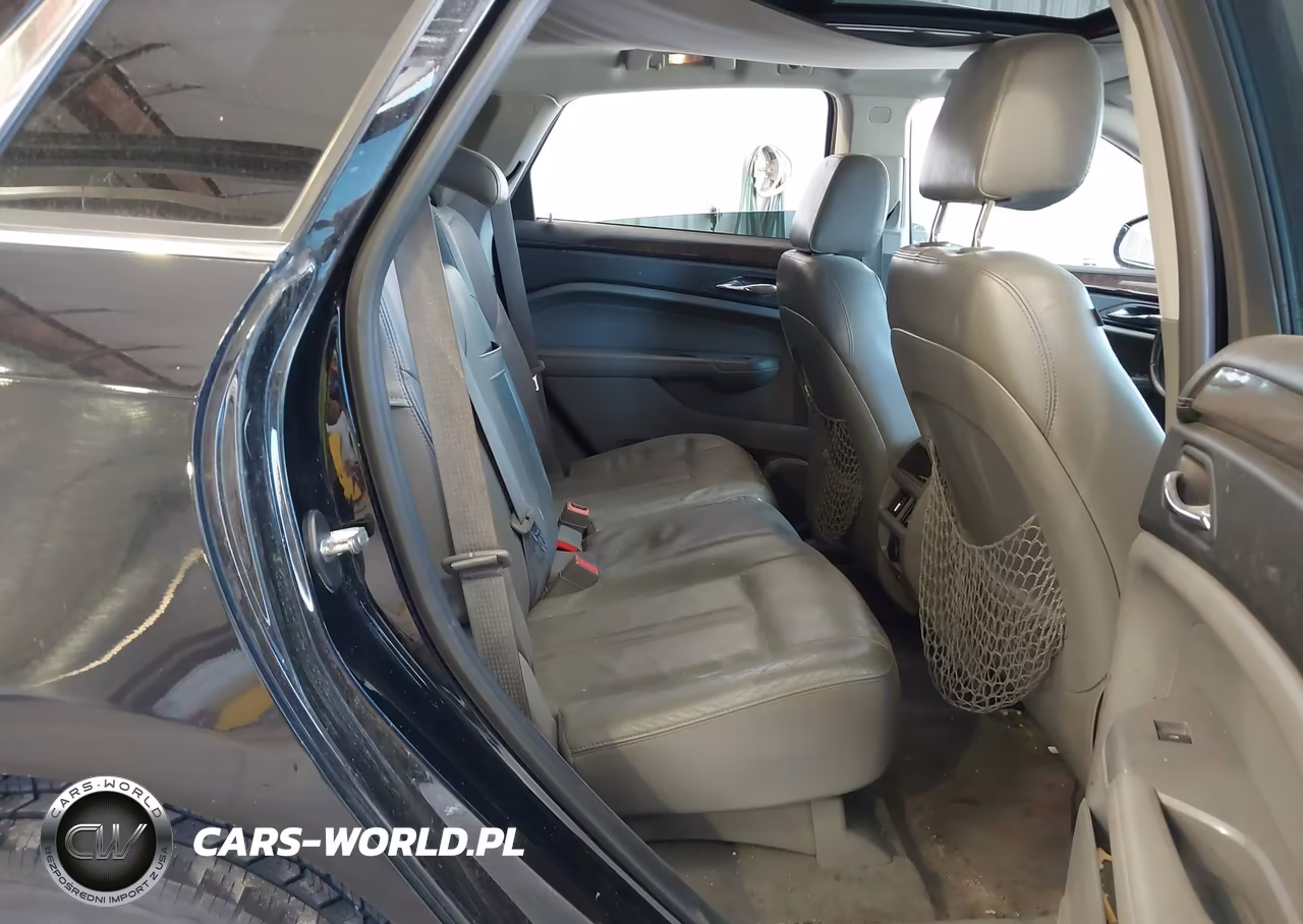 2010 Cadillac Srx Luxury Collection VIN:3GYFNAEY2AS506255 - 8