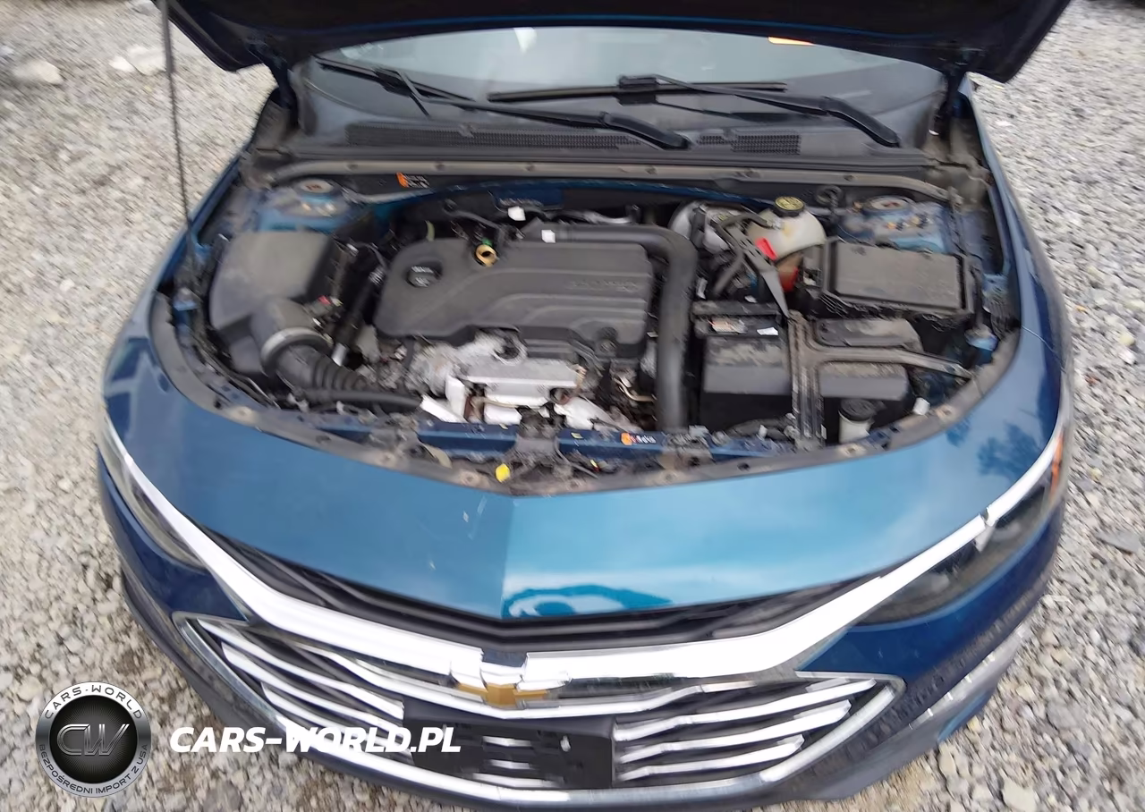 2019 Chevrolet Malibu Lt VIN:1G1ZD5STXKF145443 - 10