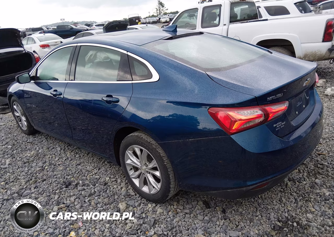 2019 Chevrolet Malibu Lt VIN:1G1ZD5STXKF145443 - 3