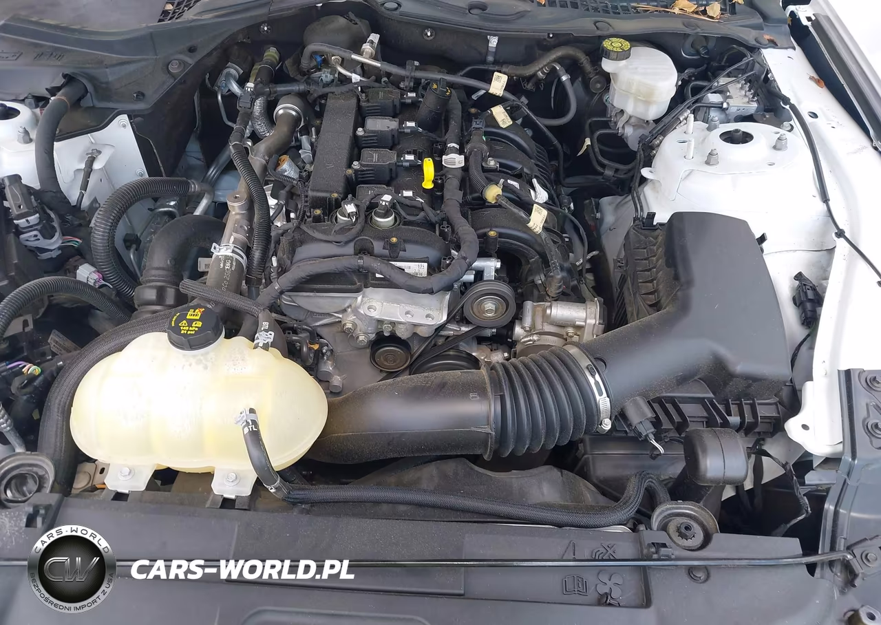 2022 Ford Mustang Ecoboost Premium Fastback VIN:1FA6P8TH9N5143678 - 10