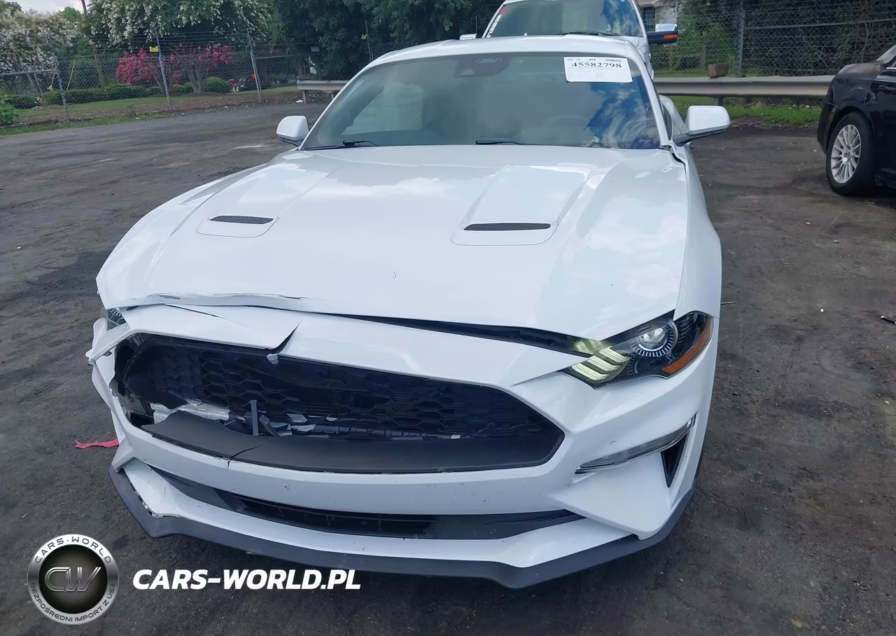 2022 Ford Mustang Ecoboost Premium Fastback VIN:1FA6P8TH9N5143678 - 12