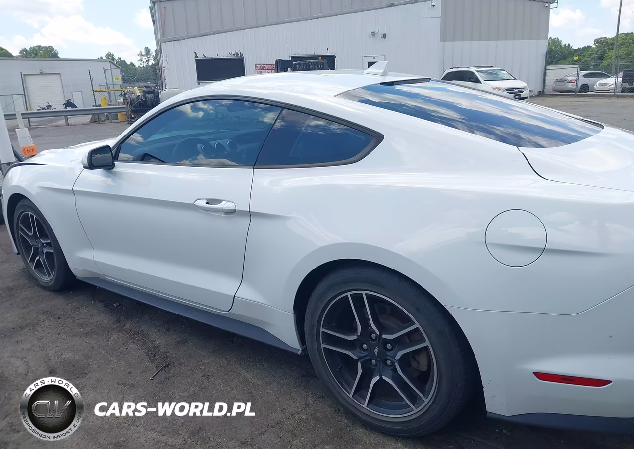 2022 Ford Mustang Ecoboost Premium Fastback VIN:1FA6P8TH9N5143678 - 14