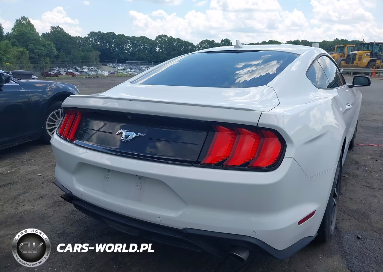 2022 Ford Mustang Ecoboost Premium Fastback VIN:1FA6P8TH9N5143678 - 16