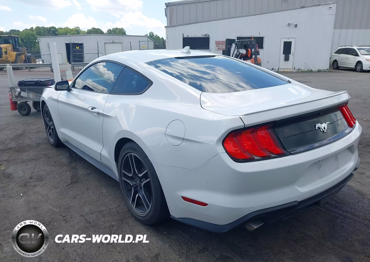 2022 Ford Mustang Ecoboost Premium Fastback VIN:1FA6P8TH9N5143678 - 3