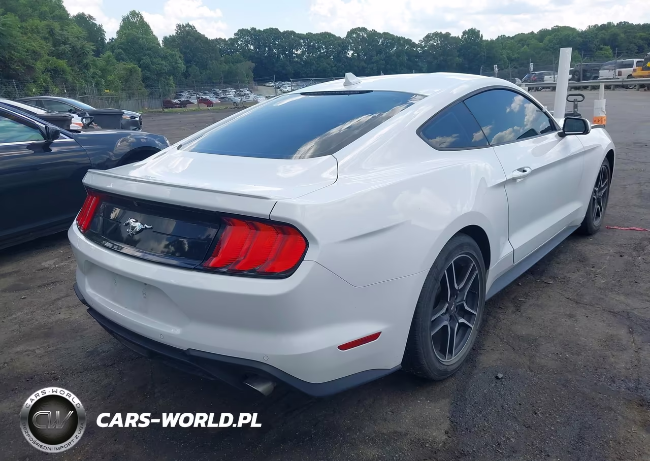 2022 Ford Mustang Ecoboost Premium Fastback VIN:1FA6P8TH9N5143678 - 4