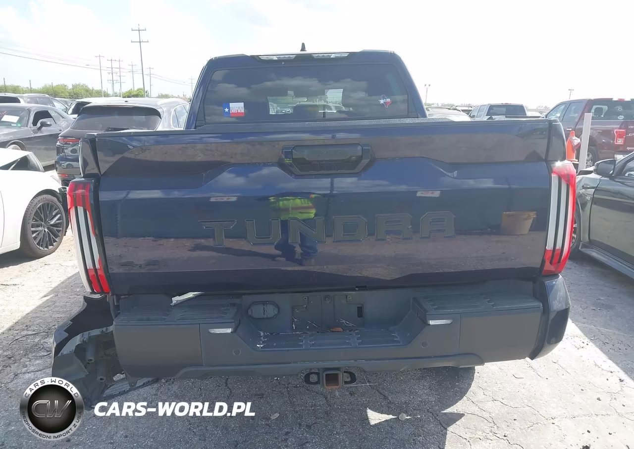2022 Toyota Tundra Sr5 VIN:5TFLA5DBXNX048803 - 17