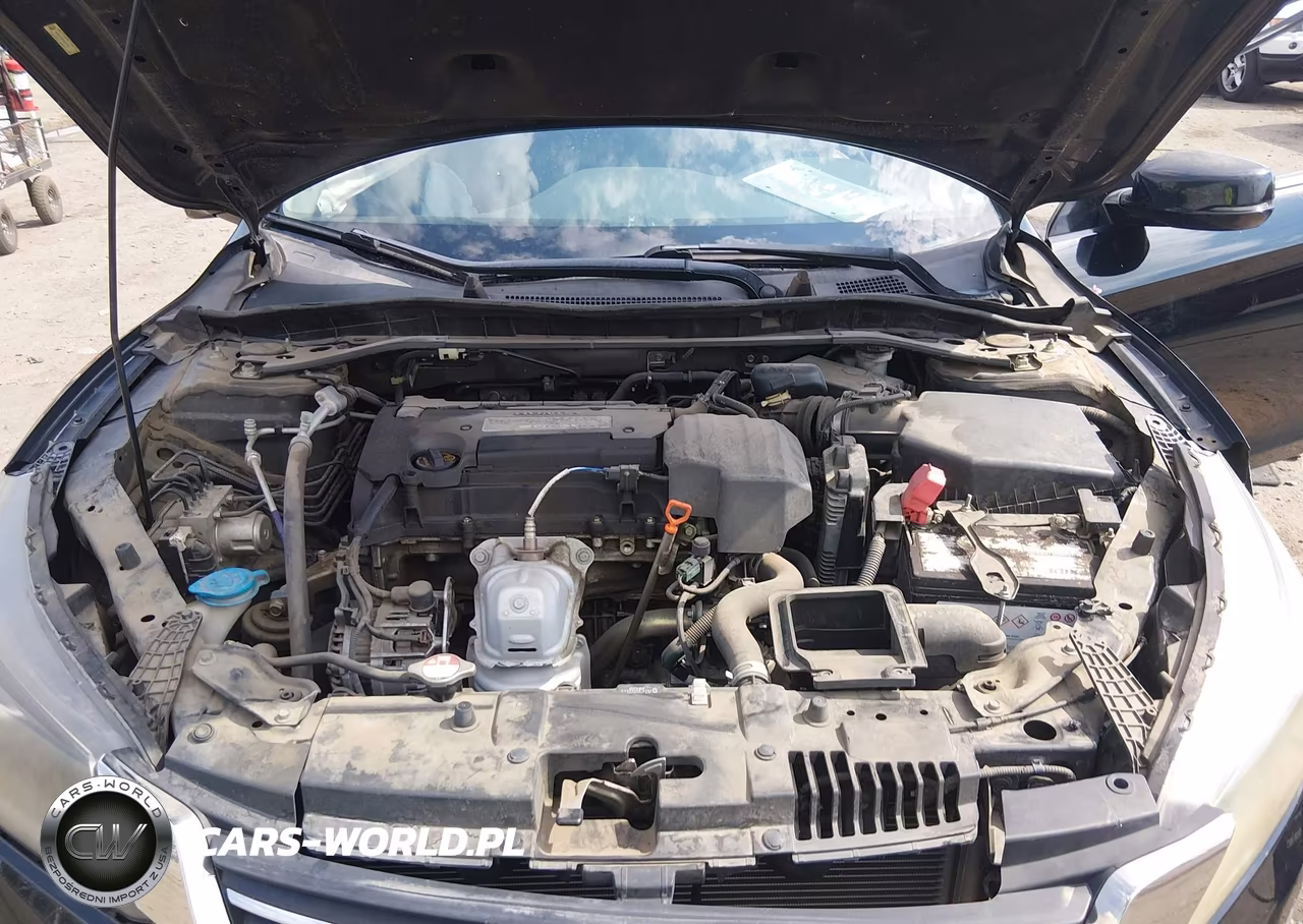 2013 Honda Accord Ex-L VIN:1HGCR2F81DA184748 - 10