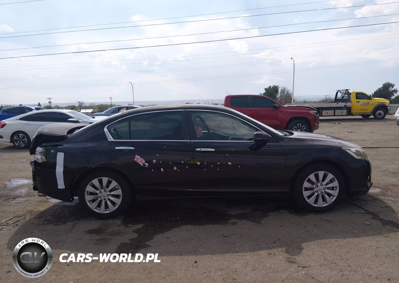 2013 Honda Accord Ex-L VIN:1HGCR2F81DA184748 - 13