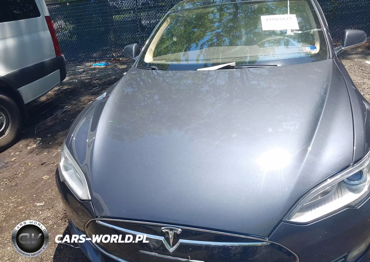 2015 Tesla Model S 70D-85D-P85D VIN:5YJSA1H27FFP78825 - 10