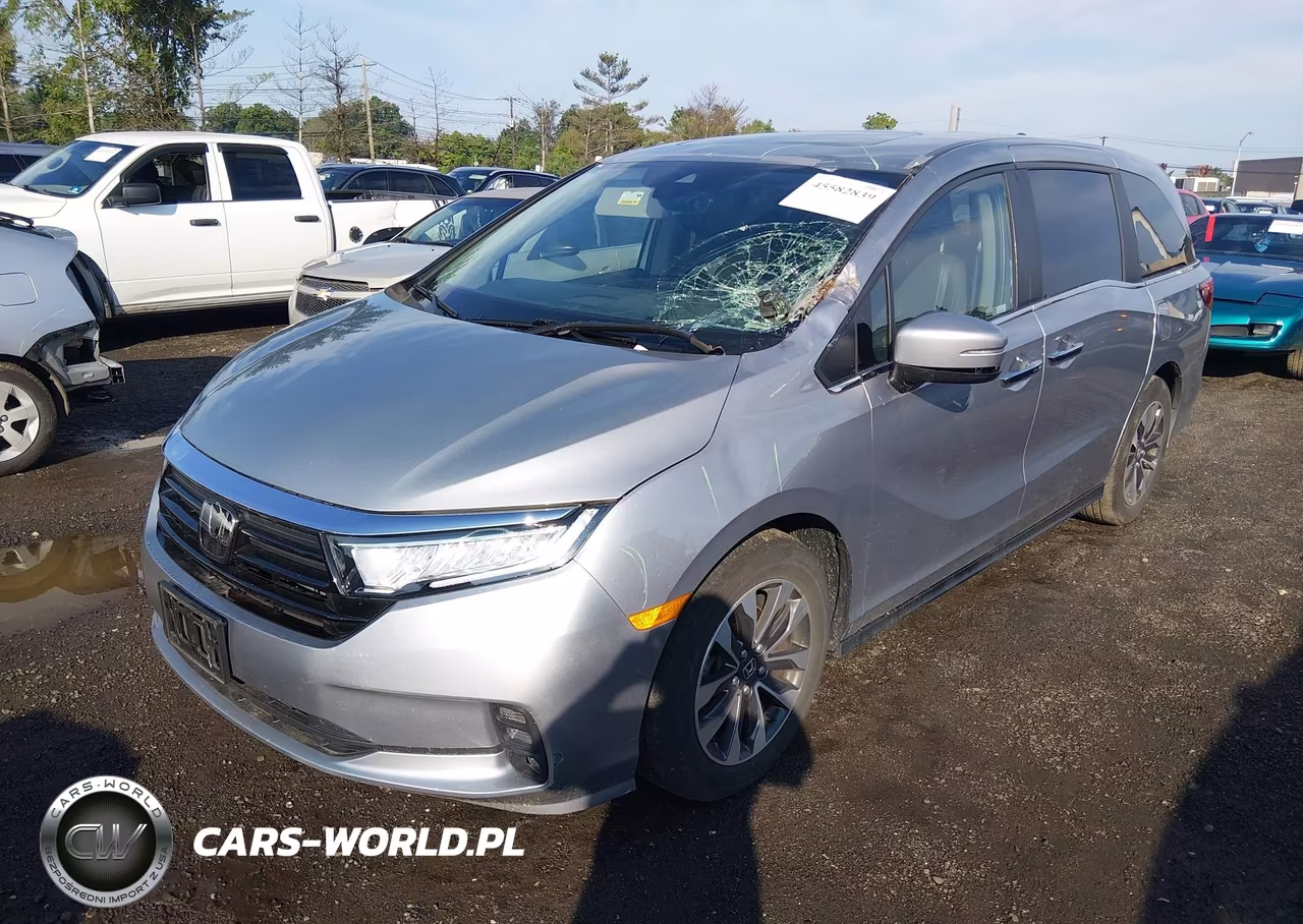 2024 Honda Odyssey Ex-L VIN:5FNRL6H60RB012805 - 2