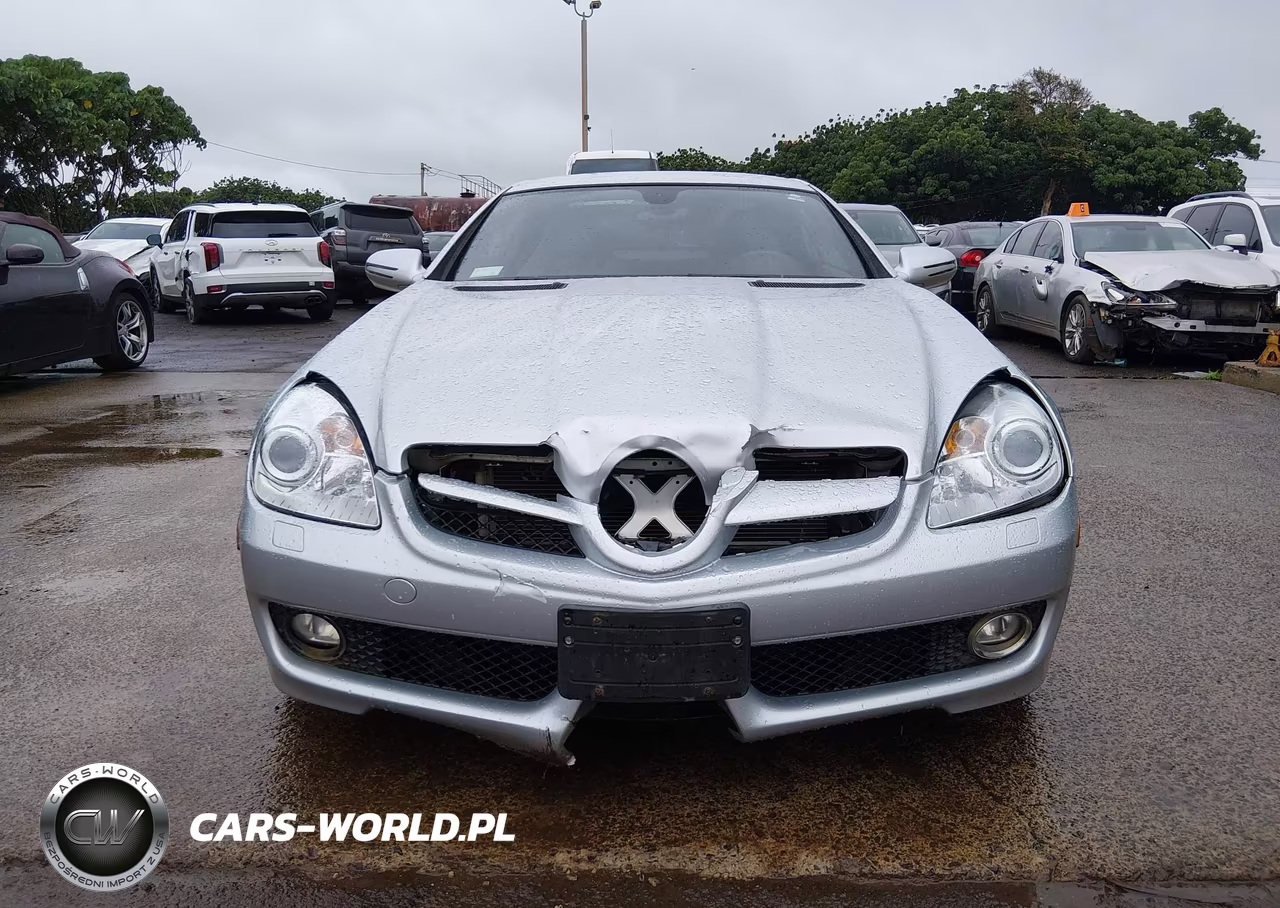 2009 Mercedes-Benz Slk 300 VIN:WDBWK54F69F192646 - 12