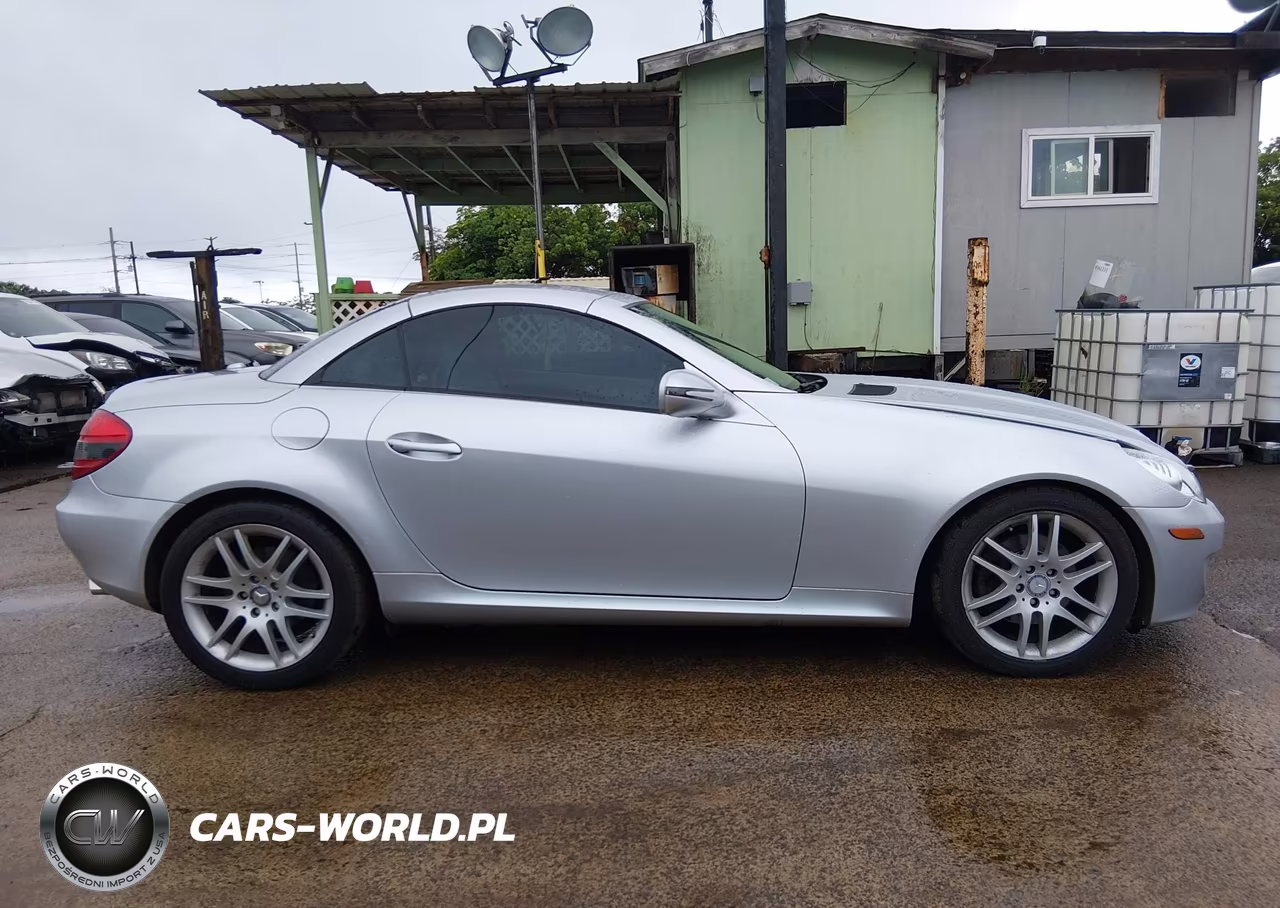 2009 Mercedes-Benz Slk 300 VIN:WDBWK54F69F192646 - 13