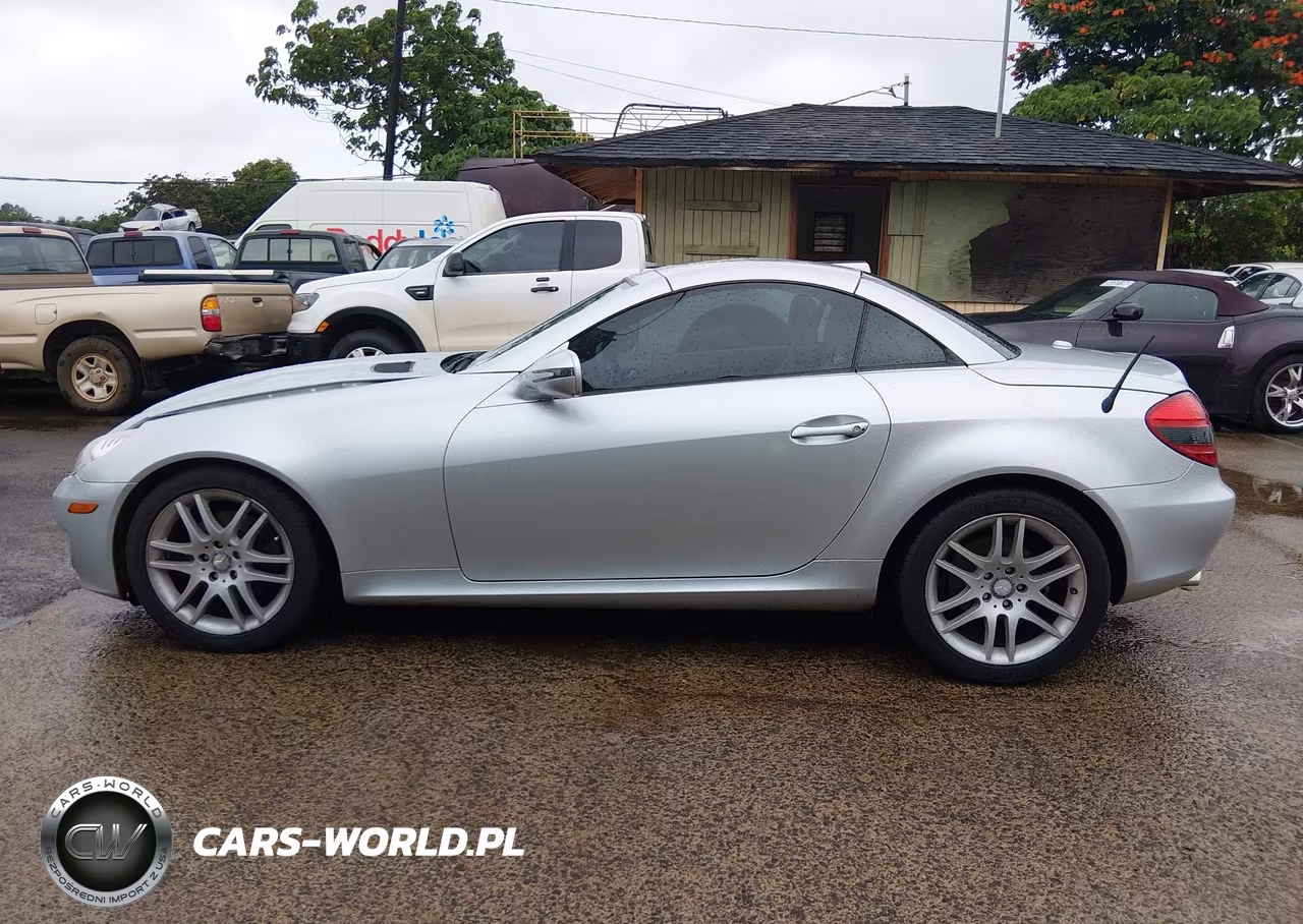 2009 Mercedes-Benz Slk 300 VIN:WDBWK54F69F192646 - 14