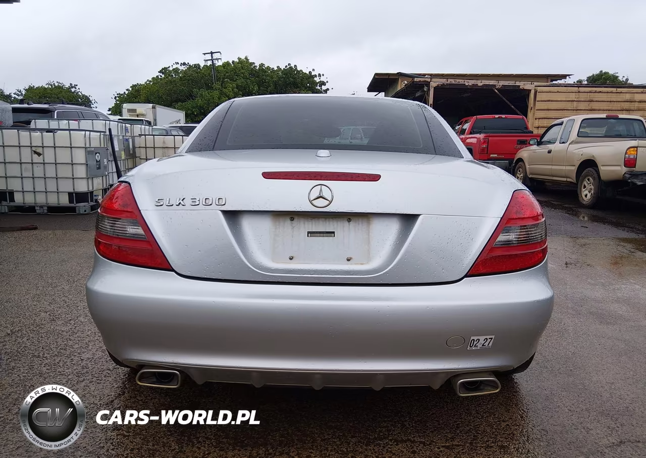 2009 Mercedes-Benz Slk 300 VIN:WDBWK54F69F192646 - 16