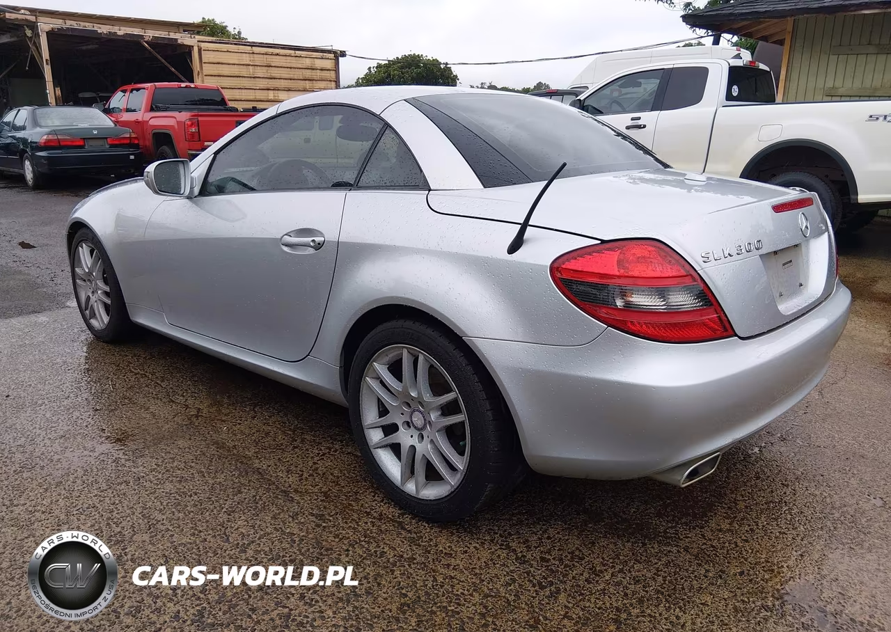 2009 Mercedes-Benz Slk 300 VIN:WDBWK54F69F192646 - 3
