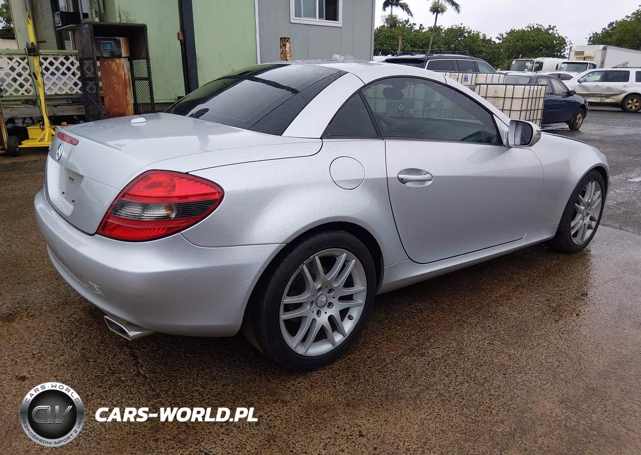 2009 Mercedes-Benz Slk 300 VIN:WDBWK54F69F192646 - 4